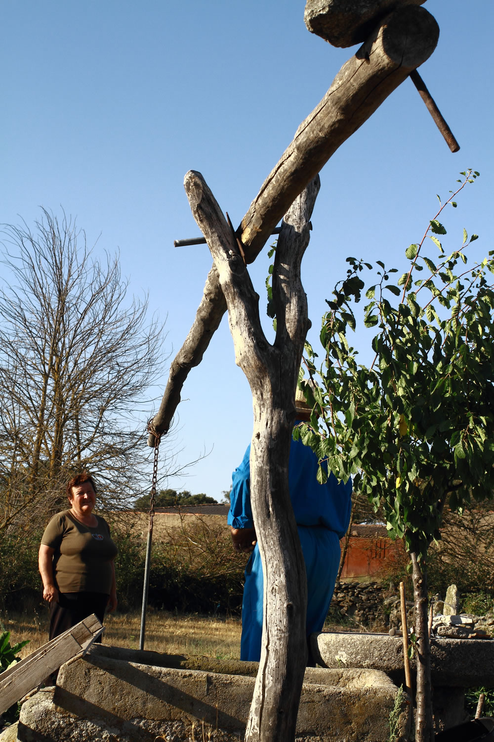 Estructura del cigüeñal